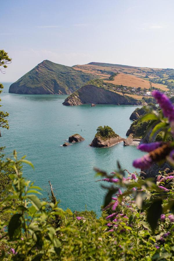 Sandy Cove Hotel Ilfracombe Eksteriør billede